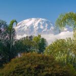 When to climb Kilimanjaro featured image